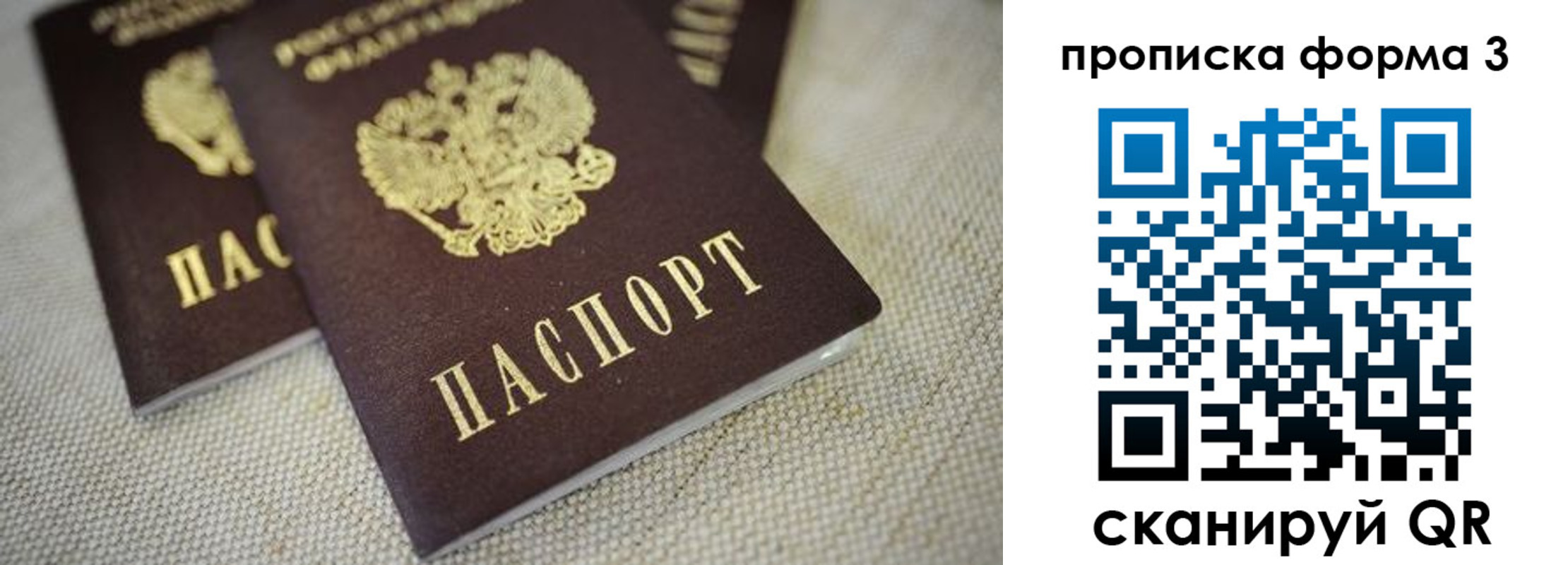 прописка поиск в Каргате